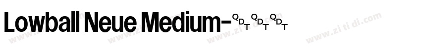 Lowball Neue Medium字体转换